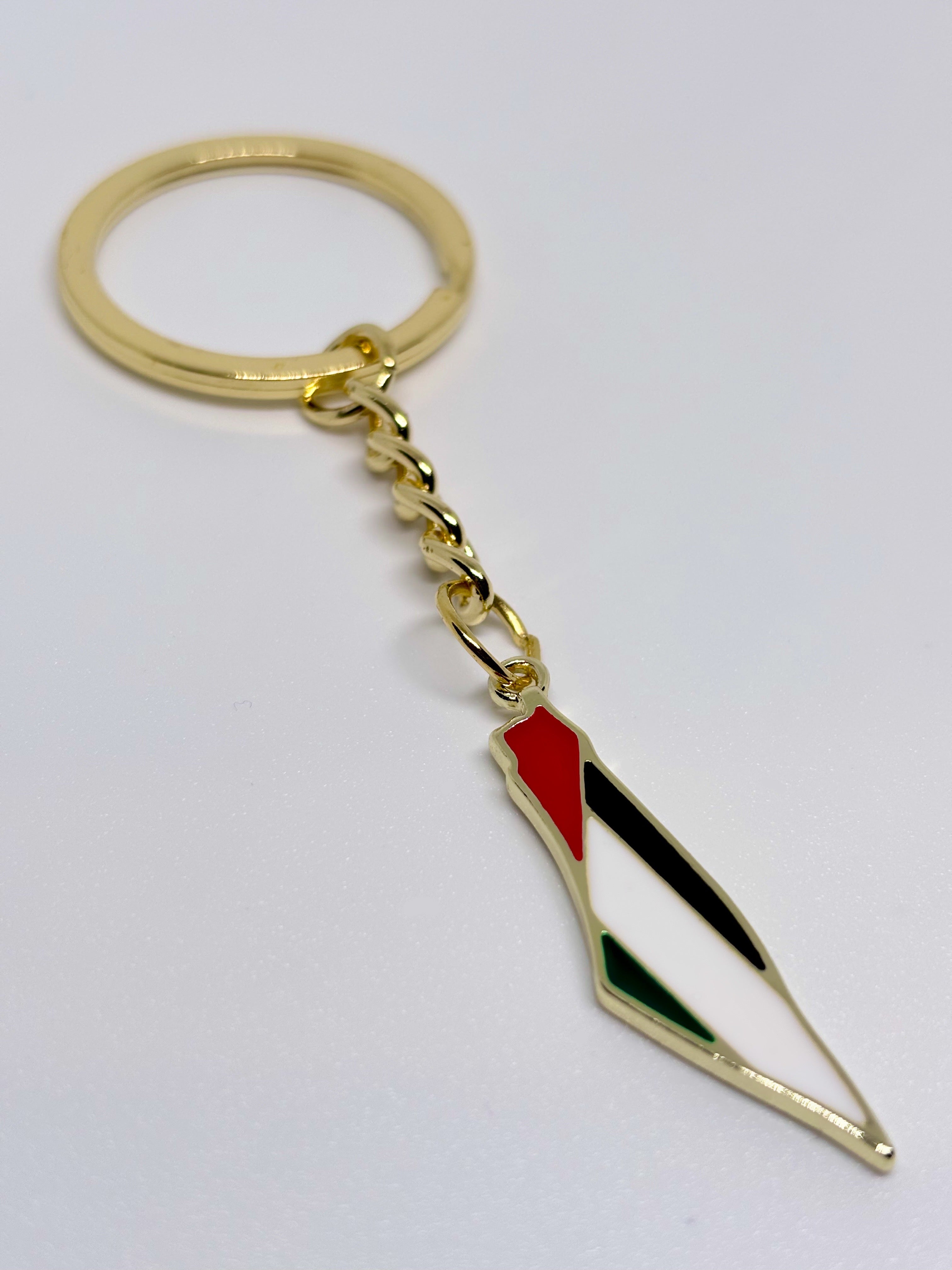 Palestine Map - Slim